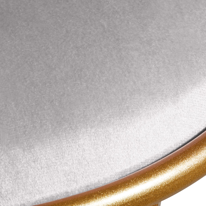 Stoel Fluweel MT-309 Goud Grijs 5