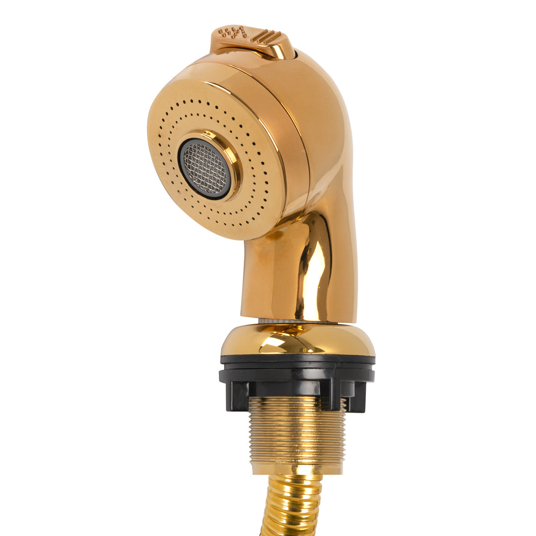 Handdouche voor Wasunit Gabbiano Goud Groot